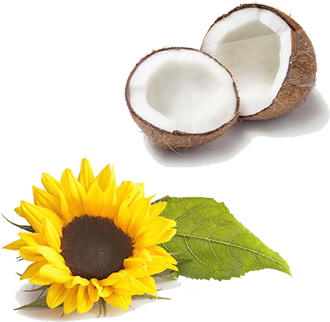 Ingredients ingredients fats mobile - Ingredients